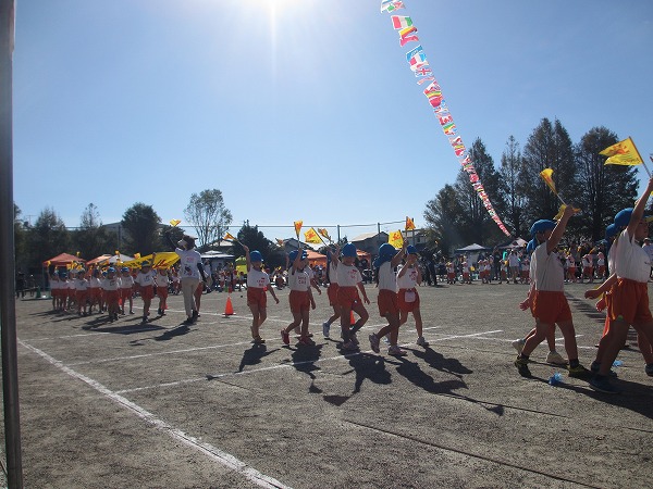 IMG_0519.jpg IMG_0519.jpg