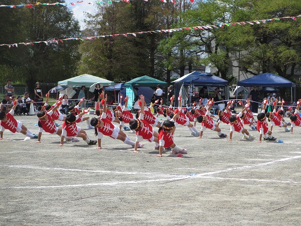 IMG_0618.jpg IMG_0618.jpg