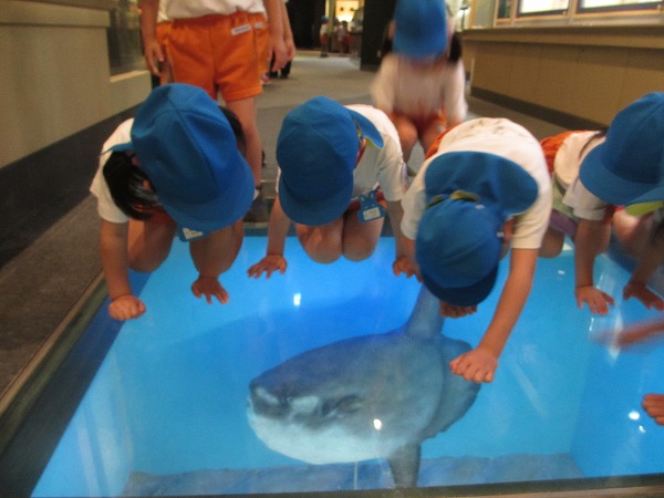 IMG_4927.jpg IMG_4927.jpg